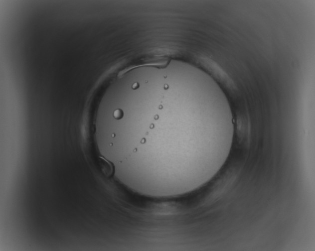 X0000101110396200807101514