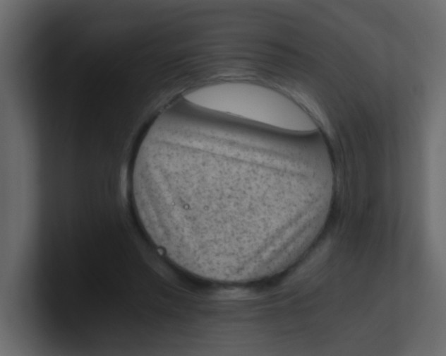 X0000101110397200807101514