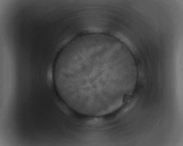 X0000101110398200807101514