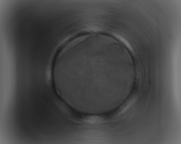 X0000101110399200807101513