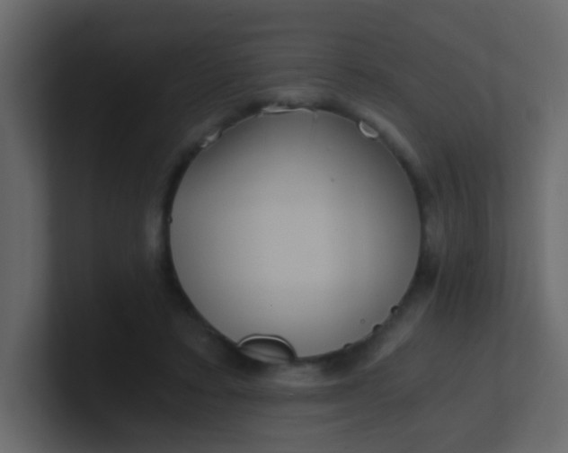 X0000101110403200807101513
