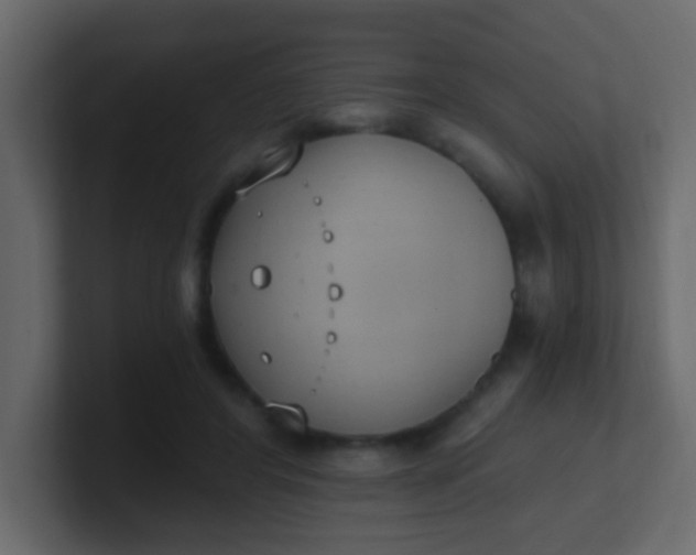 X0000101110404200807101513