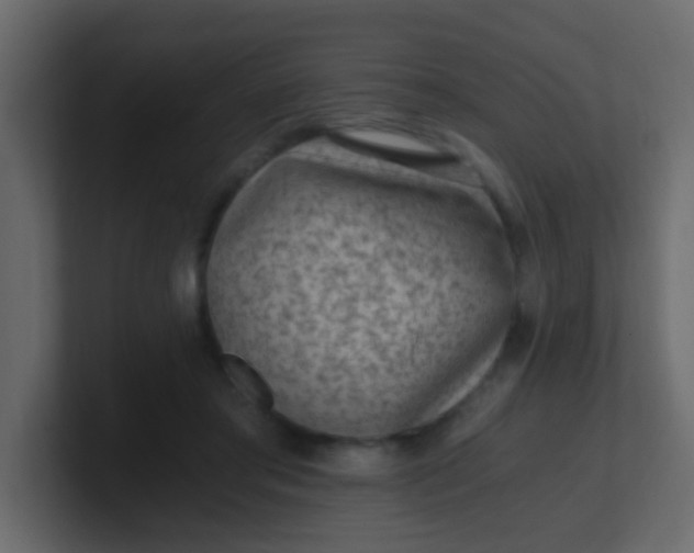 X0000101110405200807101513