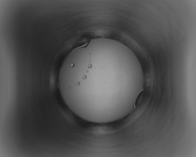 X0000101110408200807101513