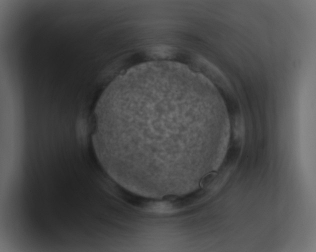 X0000101110409200807101513