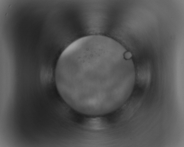 X0000101110411200807101513
