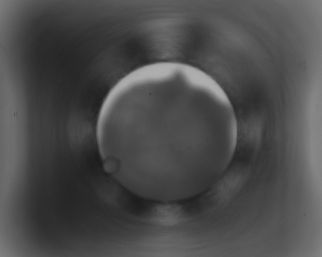 X0000101110415200807101513