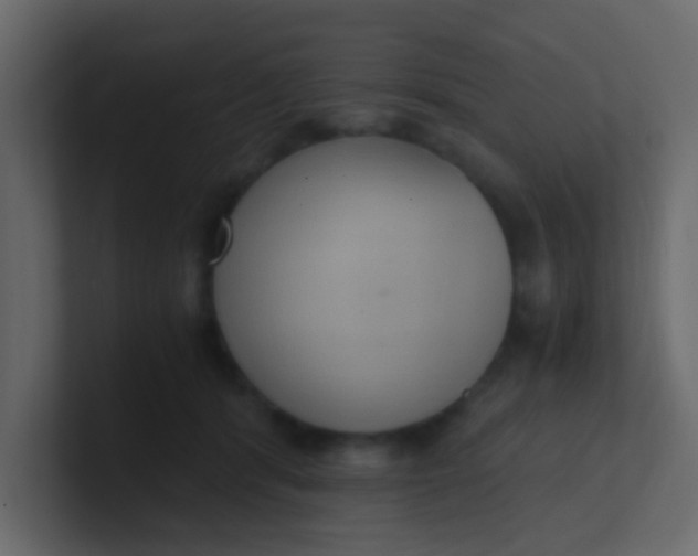 X0000101110416200807101513