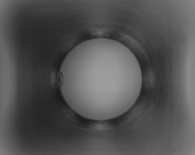 X0000101110420200807101513