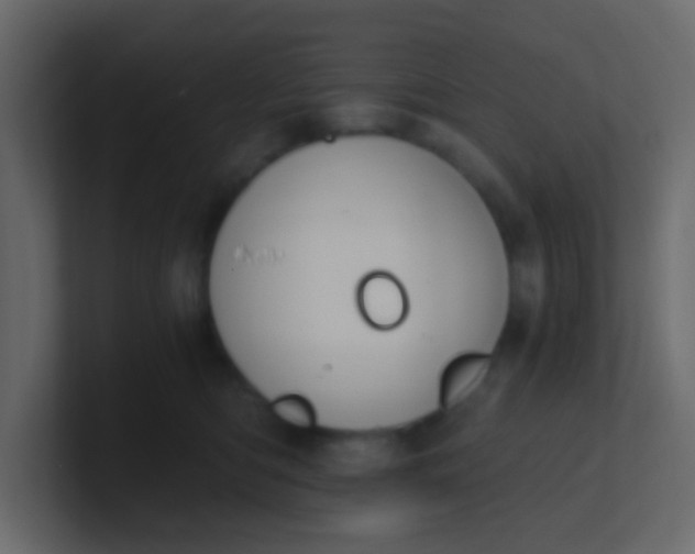 X0000101110422200807101513