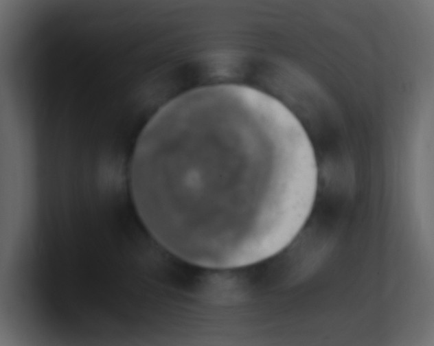 X0000101110423200807101513