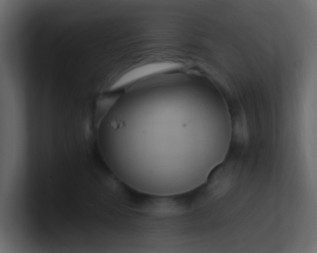 X0000101110424200807101513