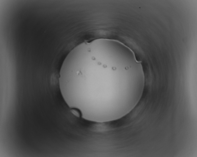 X0000101110425200807101513