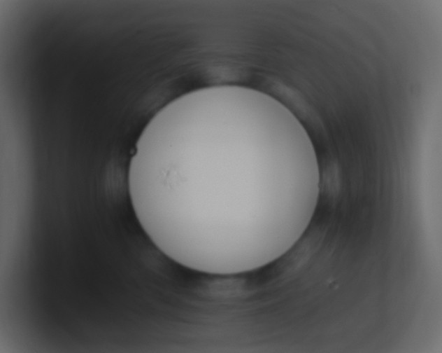 X0000101110426200807101513