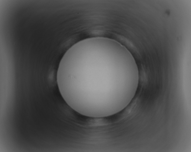 X0000101110428200807101513