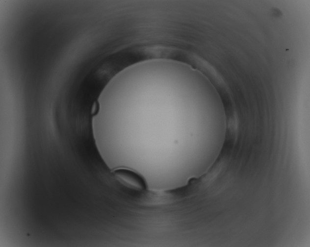 X0000101110429200807101513