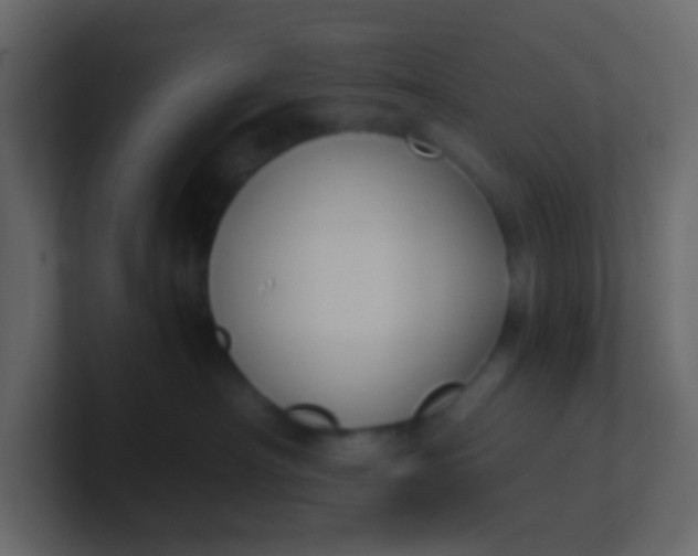 X0000101110430200807101513