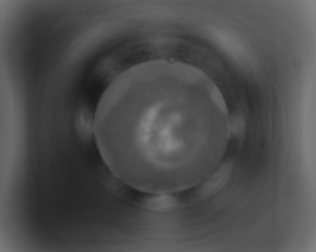 X0000101110431200807101513
