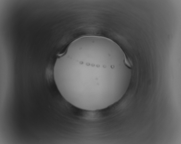 X0000101110432200807101513