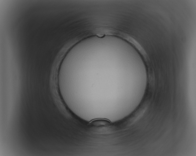 X0000101110433200807101512