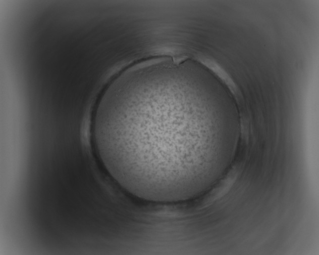 X0000101110434200807101512