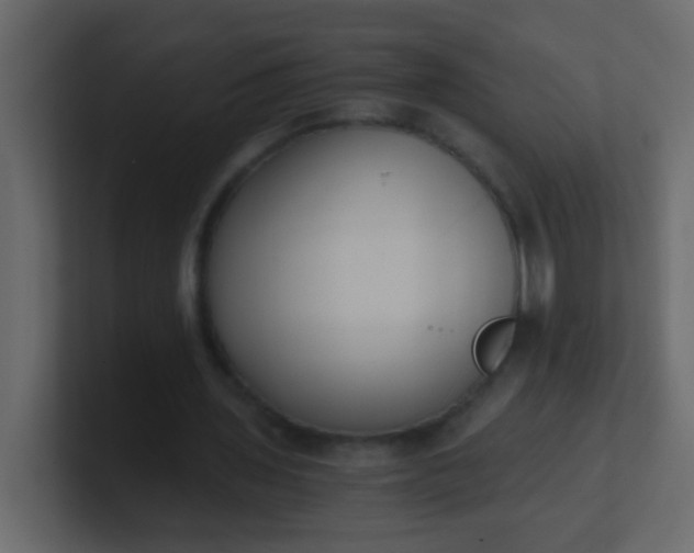 X0000101110435200807101512