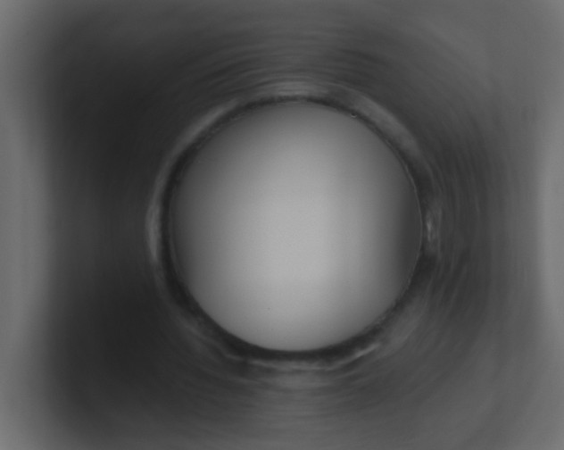 X0000101110436200807101512