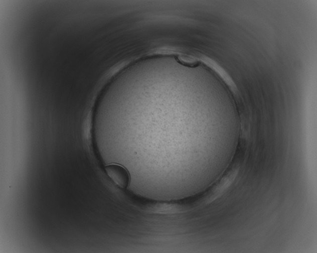 X0000101110437200807101512