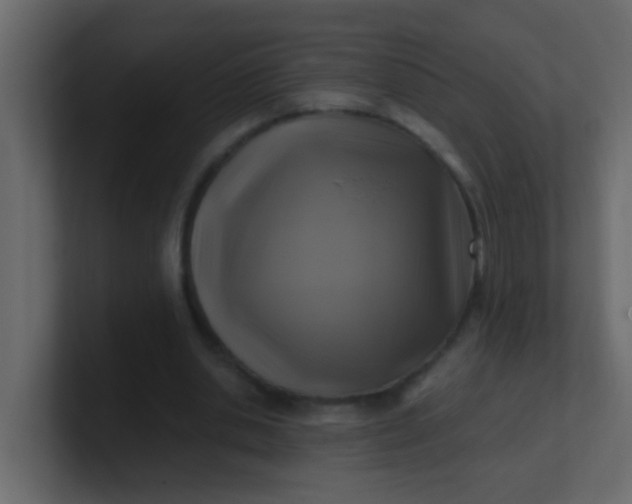 X0000101110438200807101512