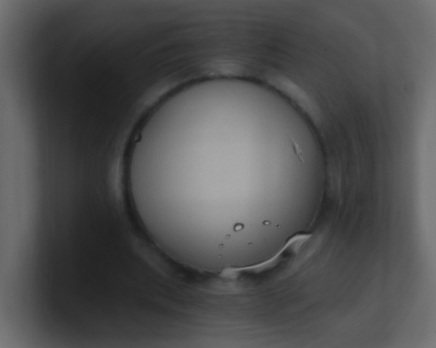 X0000101110439200807101512