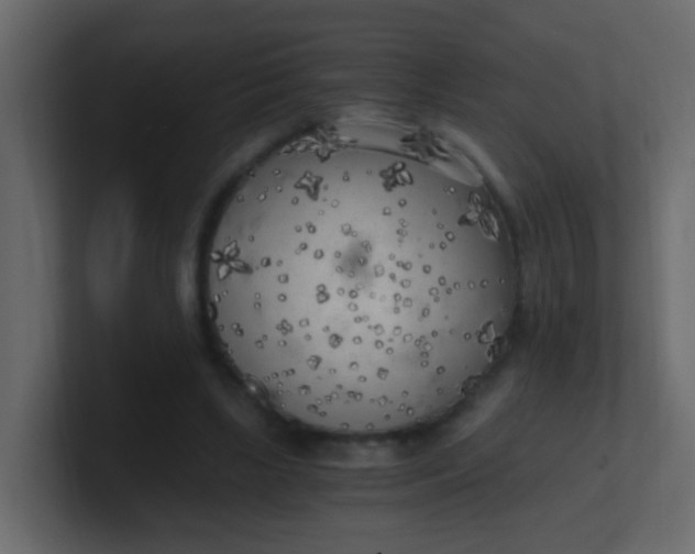 X0000101110443200807101512