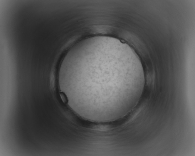 X0000101110444200807101512