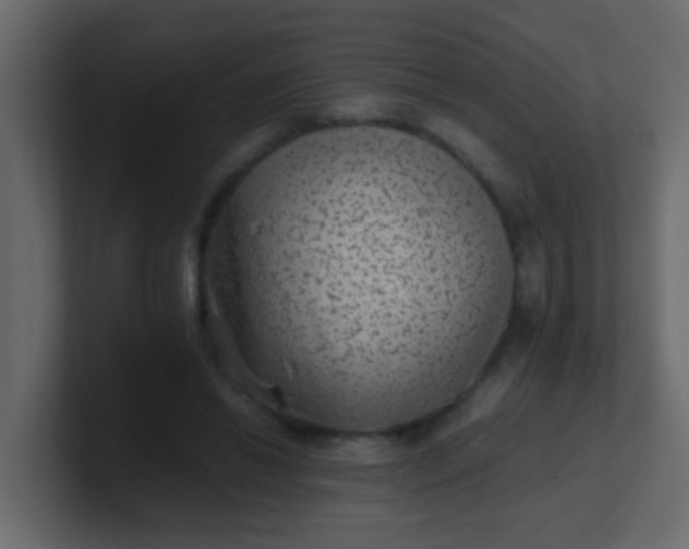 X0000101110446200807101513