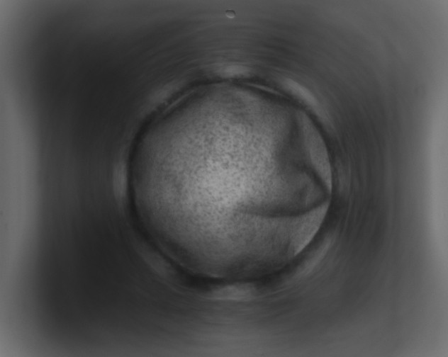 X0000101110447200807101513