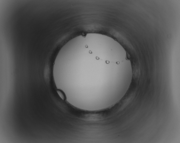 X0000101110448200807101513
