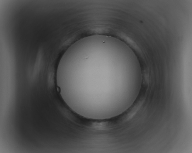 X0000101110450200807101513