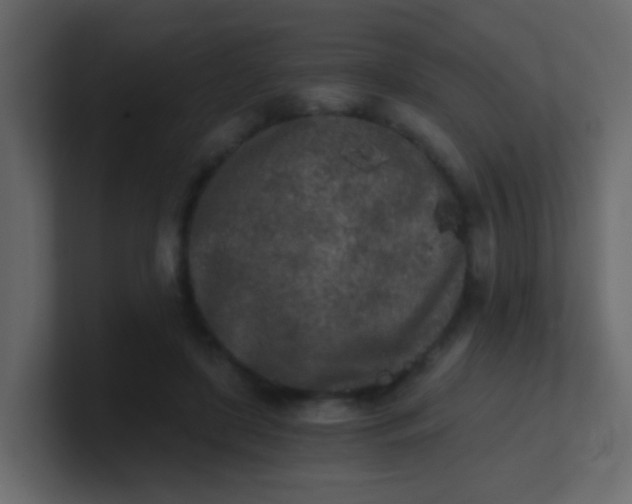 X0000101110451200807101513