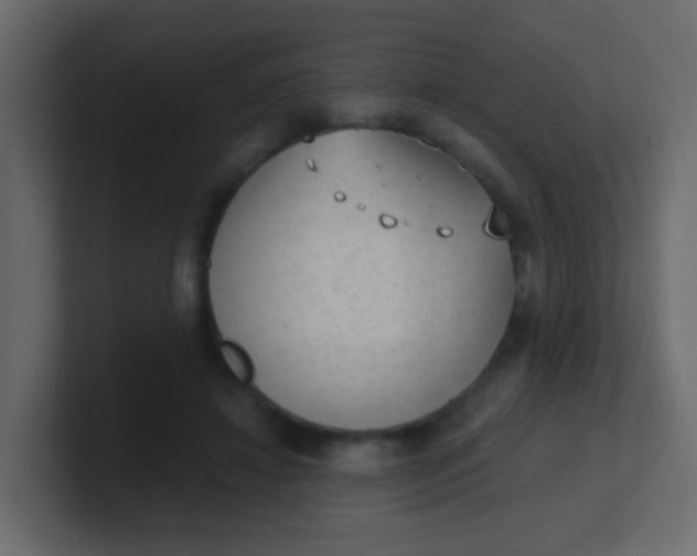 X0000101110452200807101513