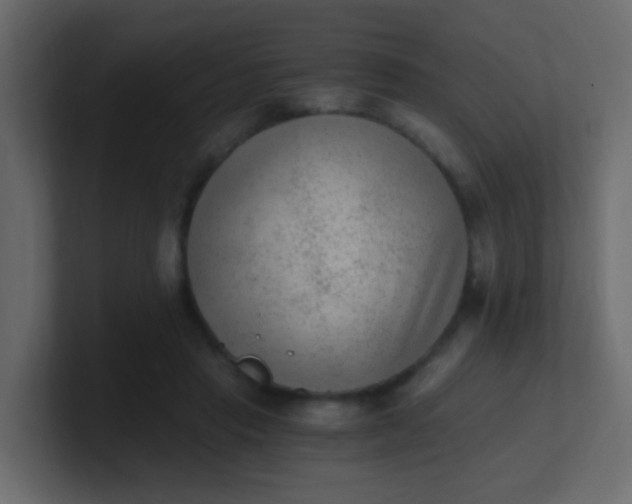 X0000101110453200807101513