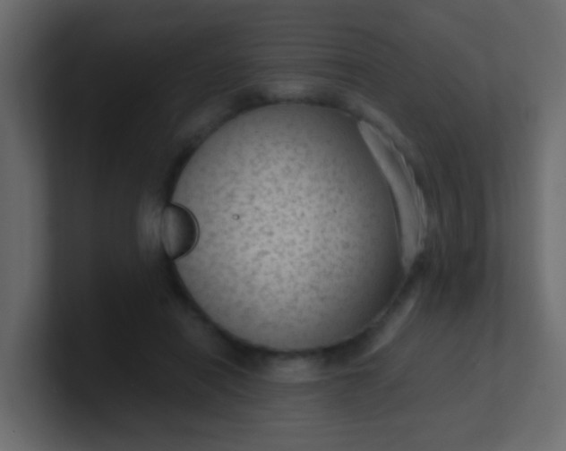 X0000101110454200807101513