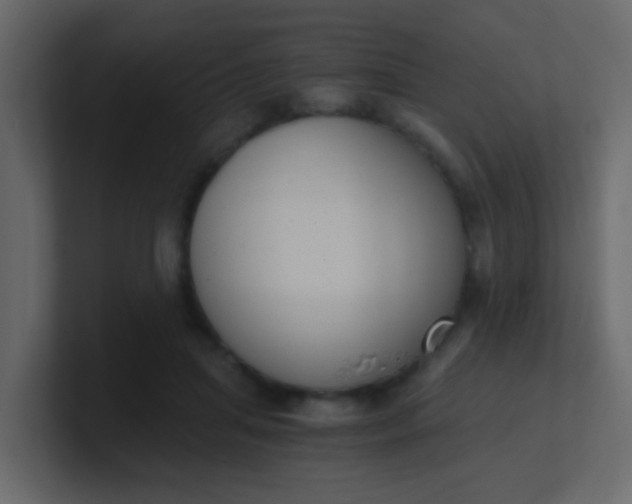 X0000101110455200807101513