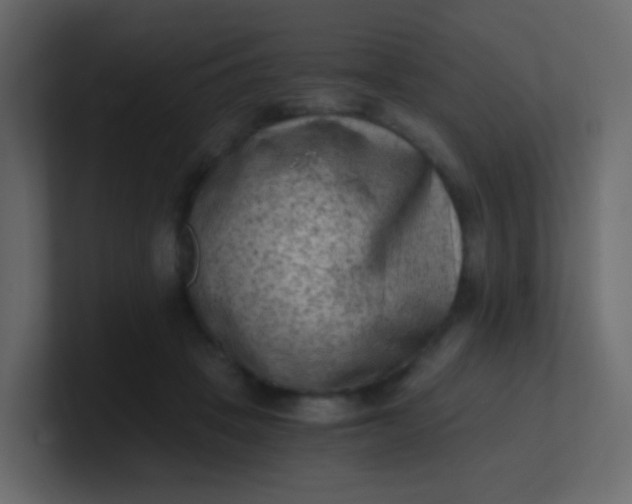 X0000101110457200807101513
