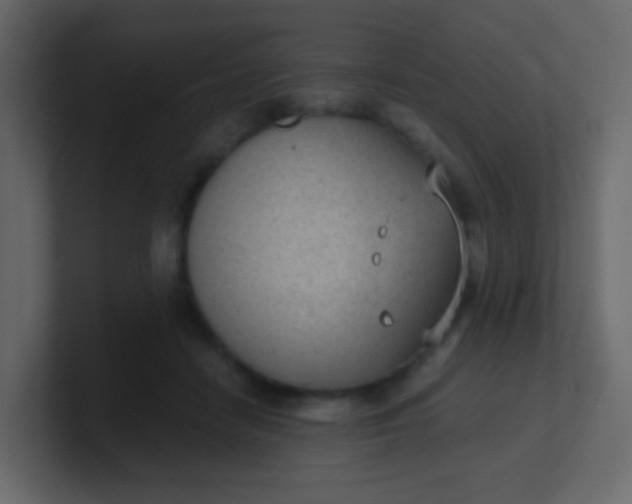 X0000101110458200807101513