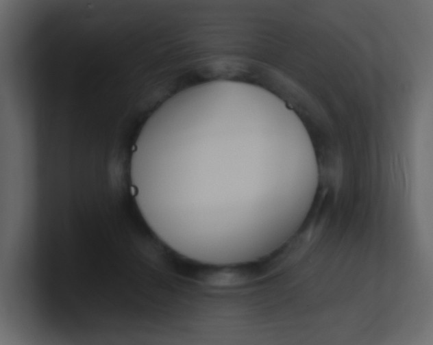 X0000101110460200807101513