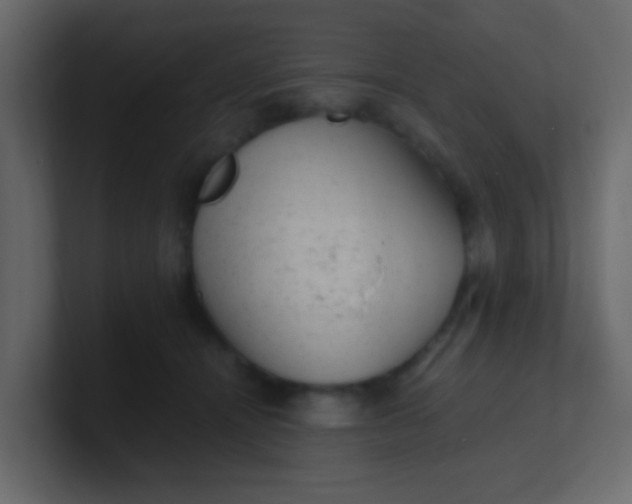 X0000101110464200807101513