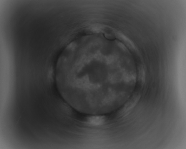 X0000101110465200807101513