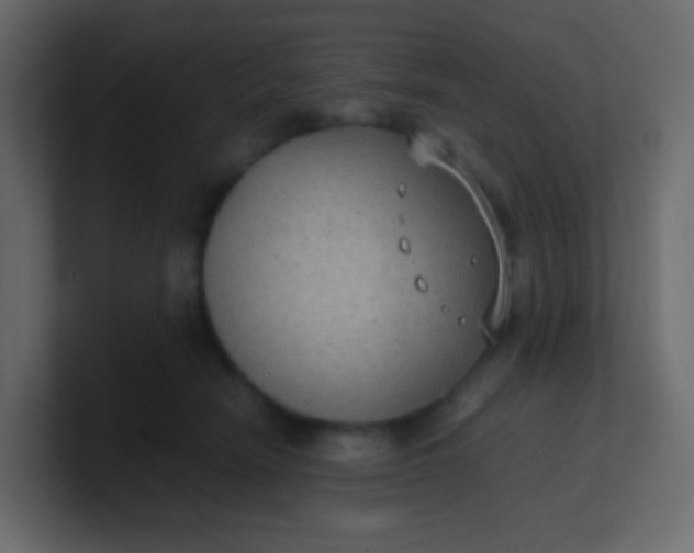 X0000101110466200807101513