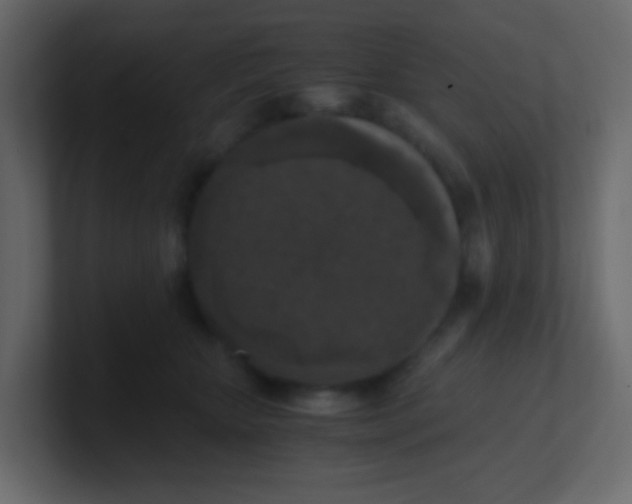 X0000101110467200807101513