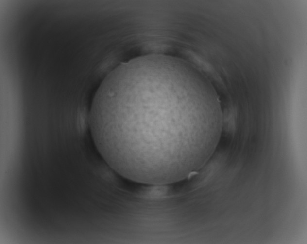 X0000101110474200807101513