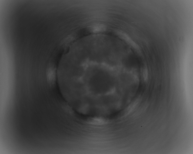 X0000101110475200807101513